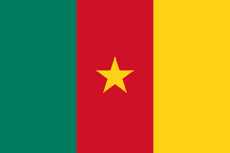 Drapeau : Cameroun